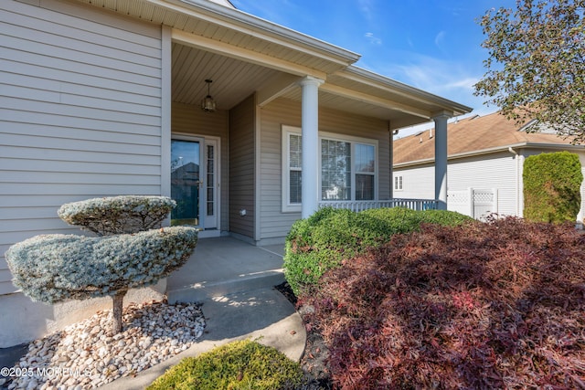 doorway to property featuring covered porch