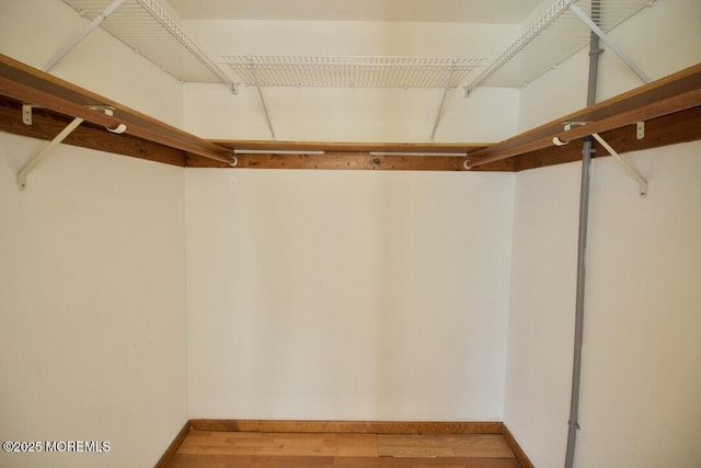 walk in closet with hardwood / wood-style flooring