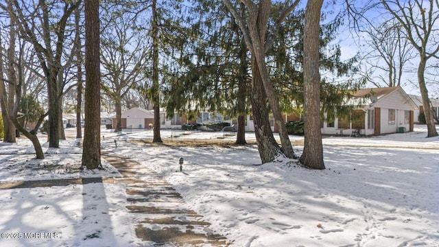 view of yard covered in snow