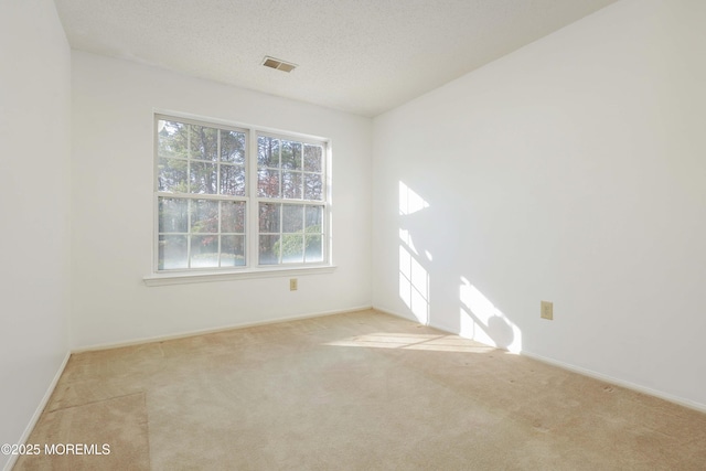 spare room featuring light colored carpet and a textured ceiling