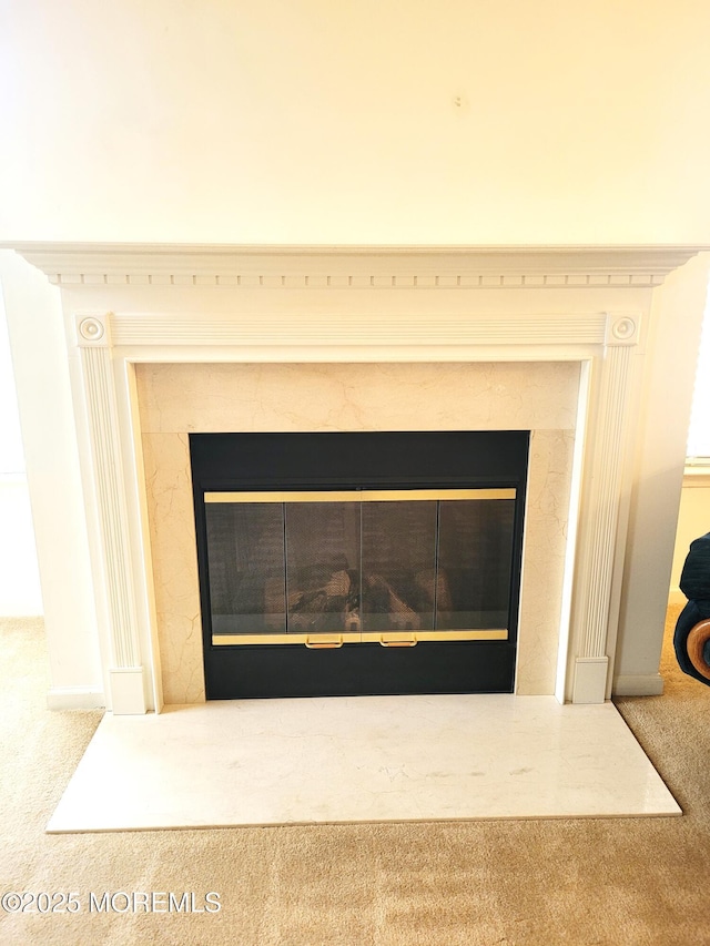 room details featuring a premium fireplace and carpet flooring