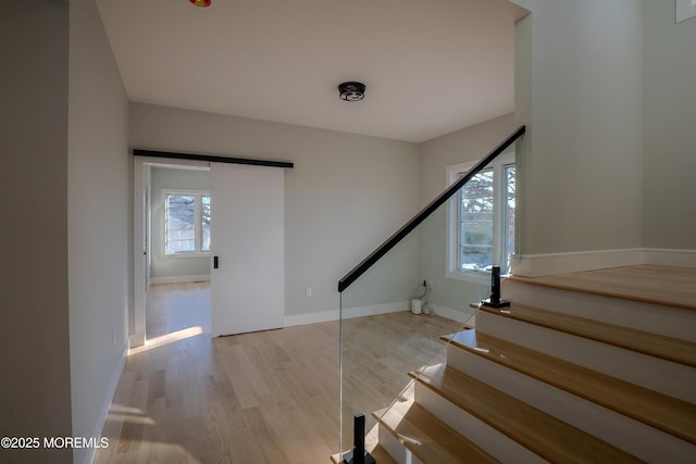 staircase with wood-type flooring