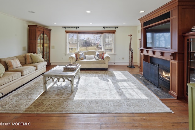 living room featuring wood-type flooring