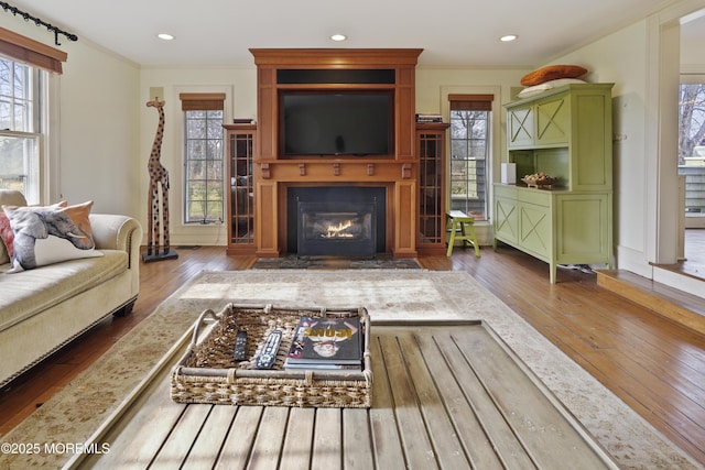 living room with ornamental molding, wood-type flooring, and a large fireplace