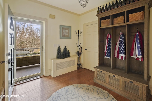 mudroom with crown molding and dark hardwood / wood-style flooring