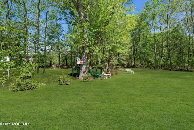 9 Mehar Ct, Jackson, NJ 08527 - view of grassy yard