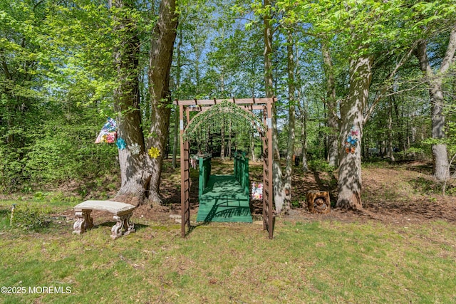 9 Mehar Ct, Jackson, NJ 08527 - view of jungle gym featuring a lawn
