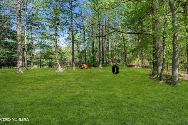 9 Mehar Ct, Jackson, NJ 08527 - view of grassy yard