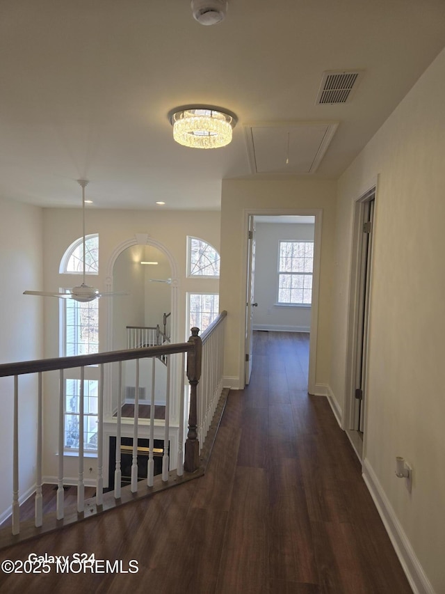 hall featuring dark wood-type flooring