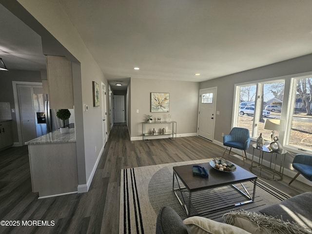 living room featuring dark wood-type flooring