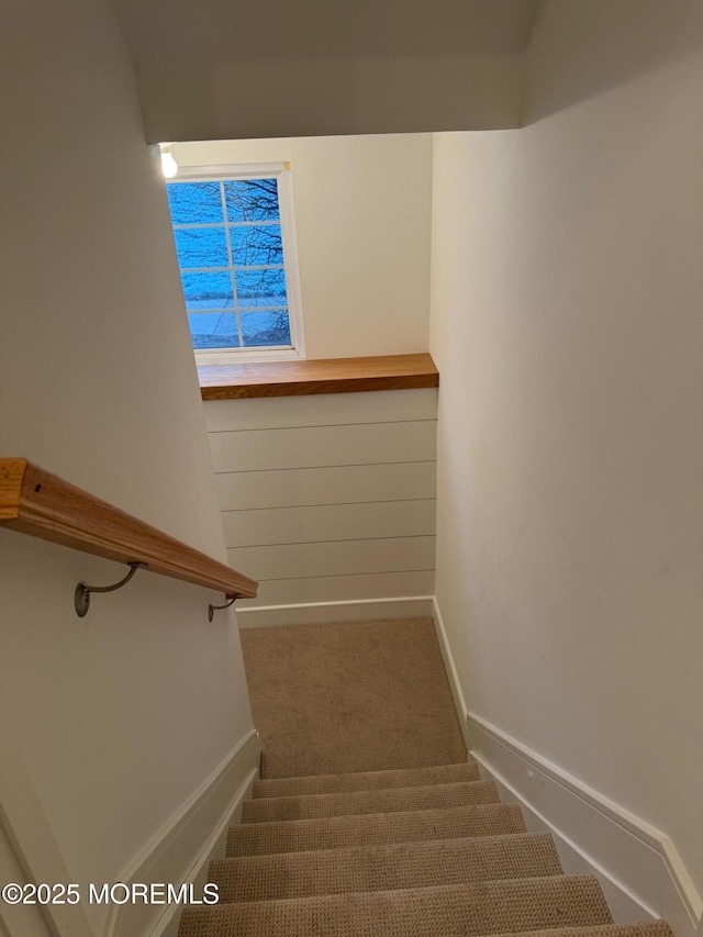 stairway featuring carpet floors