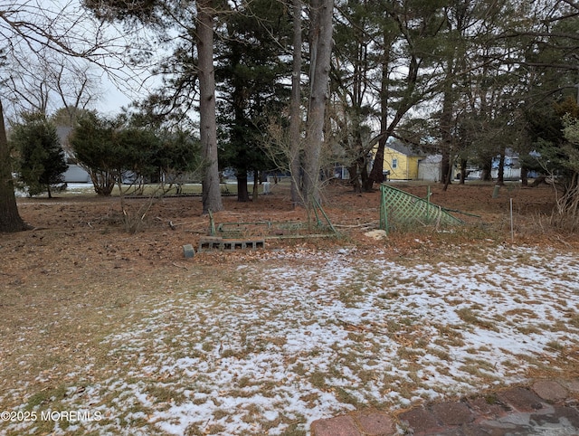 view of yard layered in snow