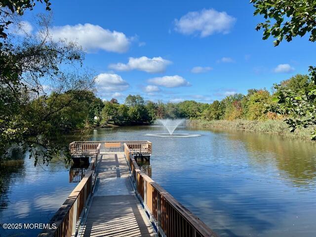 dock area with a water view