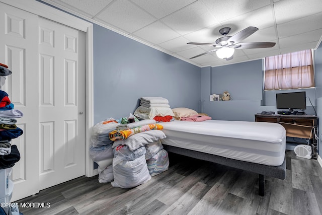 bedroom with hardwood / wood-style floors, a drop ceiling, and ceiling fan