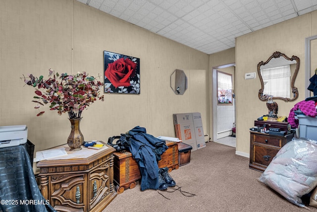 bedroom featuring carpet flooring