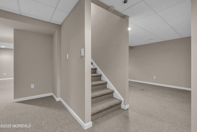 staircase with a paneled ceiling and carpet