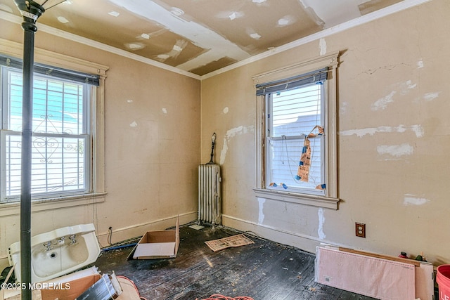 interior space with ornamental molding and hardwood / wood-style floors