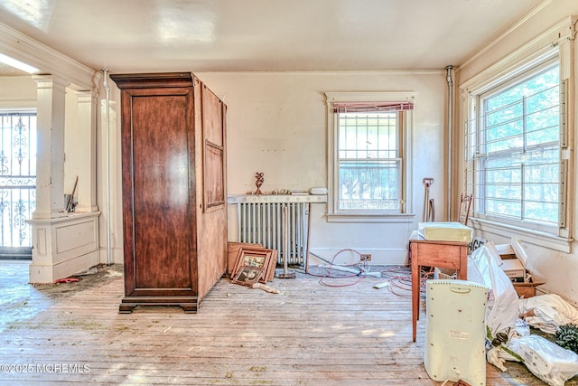 misc room with decorative columns, crown molding, radiator, and light hardwood / wood-style floors