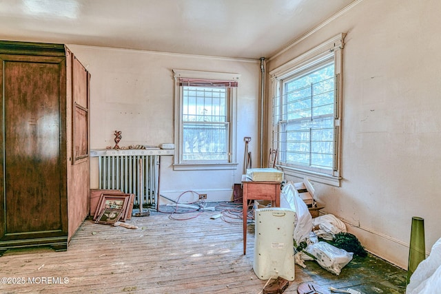 miscellaneous room with crown molding, plenty of natural light, radiator, and light hardwood / wood-style floors