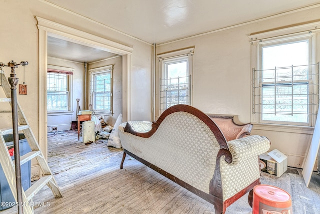 sitting room featuring plenty of natural light and light hardwood / wood-style floors