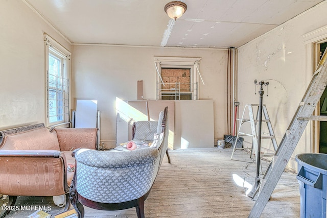 sitting room featuring light hardwood / wood-style flooring