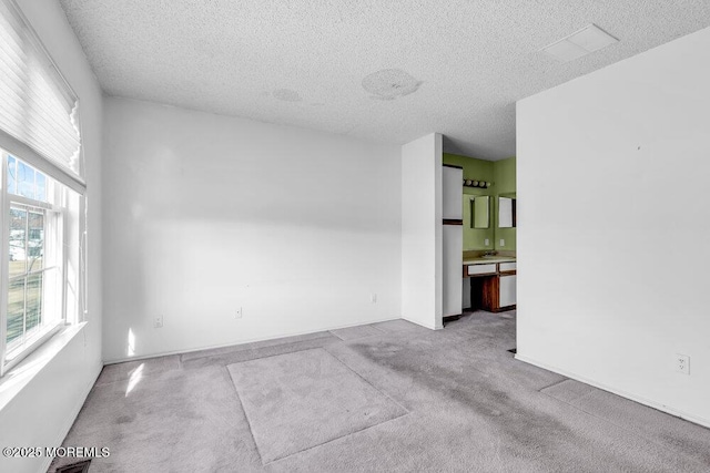 empty room featuring light carpet and a textured ceiling