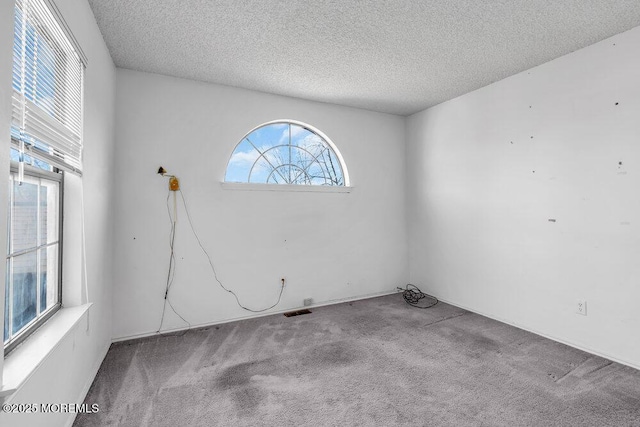 unfurnished room with light carpet and a textured ceiling