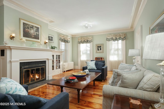 living room featuring crown molding, radiator, and light hardwood / wood-style flooring