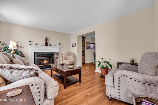 living room with light hardwood / wood-style floors