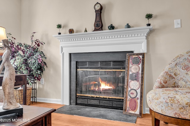 interior details with hardwood / wood-style floors