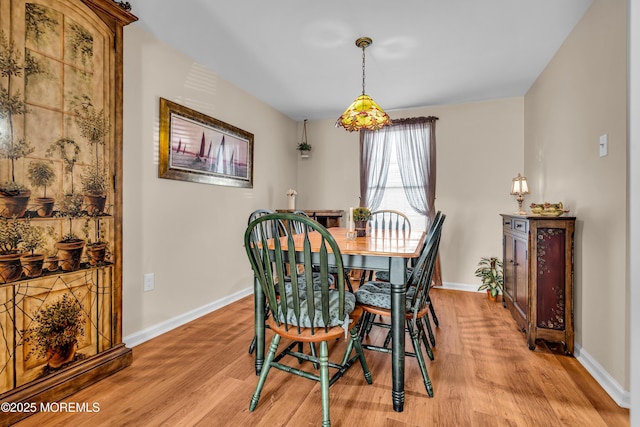 dining area with light hardwood / wood-style flooring