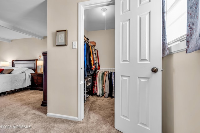 carpeted bedroom featuring a spacious closet and a closet