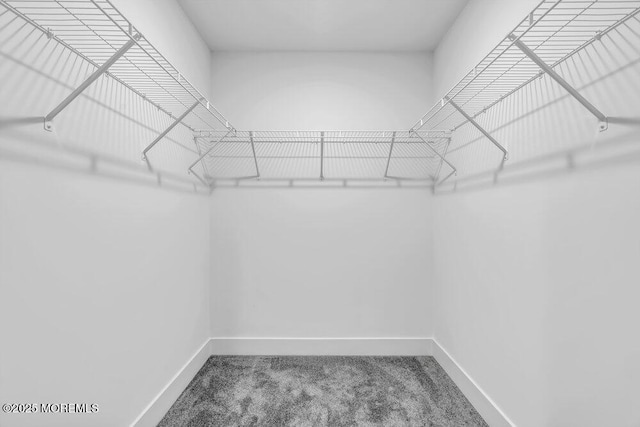302 Reef Ct, Forked River, NJ 08731 - walk in closet featuring carpet