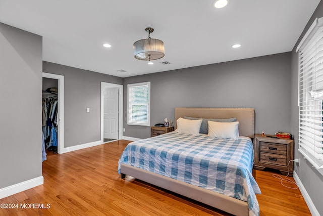 bedroom featuring a spacious closet and wood-type flooring