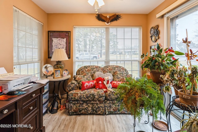 living area with ceiling fan, light hardwood / wood-style flooring, and a healthy amount of sunlight