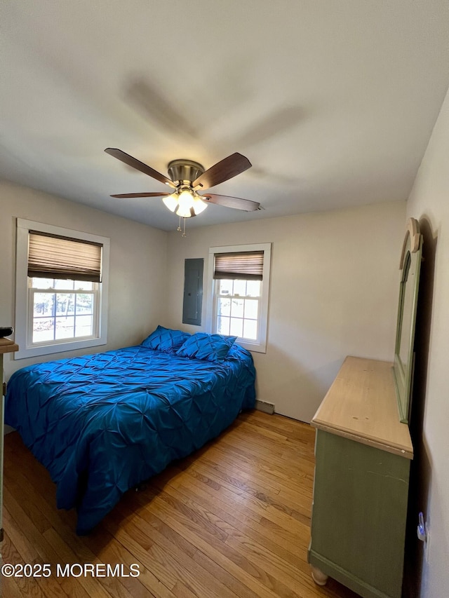 bedroom with electric panel, light hardwood / wood-style floors, and ceiling fan