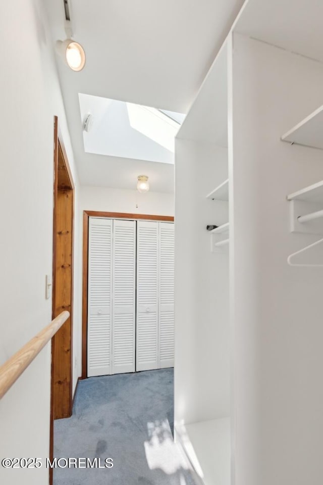 hall featuring carpet floors and a skylight