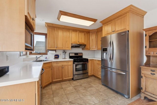 kitchen with stainless steel appliances and sink