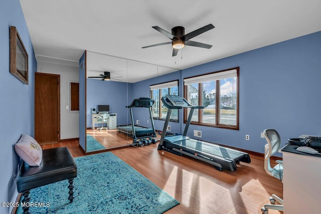 workout room featuring hardwood / wood-style floors and ceiling fan