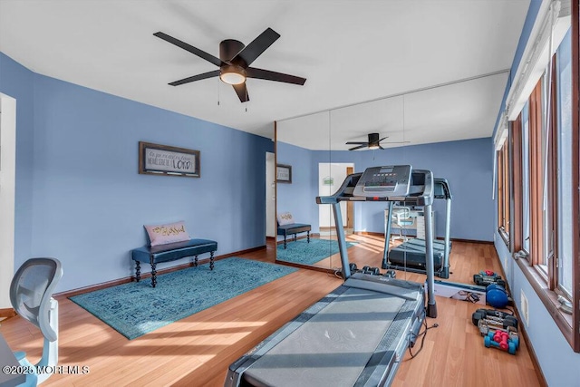 exercise area featuring hardwood / wood-style flooring and ceiling fan