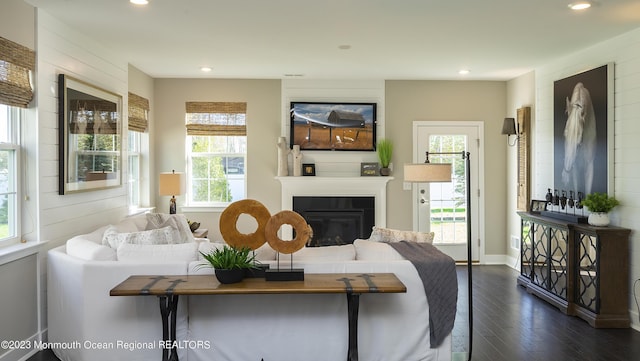 living room with dark hardwood / wood-style floors