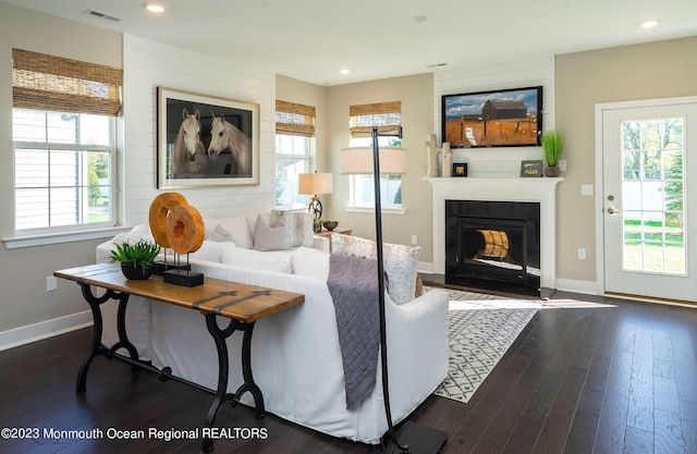 living room with a fireplace, dark hardwood / wood-style flooring, and a wealth of natural light