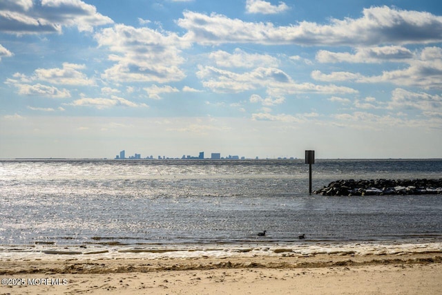 water view with a view of the beach