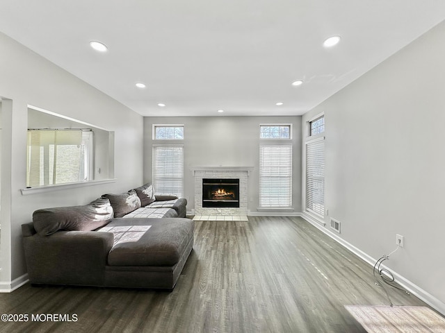 living room featuring wood-type flooring