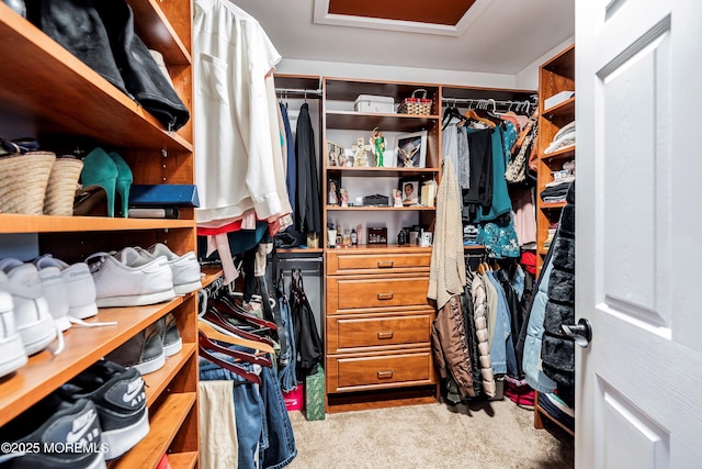 walk in closet with light colored carpet