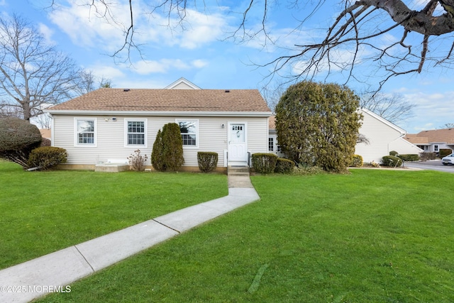 rear view of house featuring a lawn