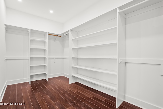 walk in closet featuring dark hardwood / wood-style flooring