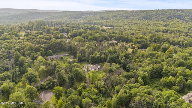 1 Southern Slope Ter, Morristown, NJ 07960 - photo 3