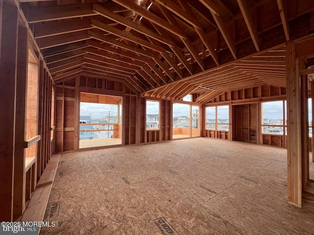 miscellaneous room with plenty of natural light and vaulted ceiling