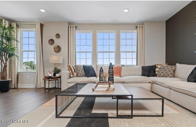 living room featuring hardwood / wood-style flooring